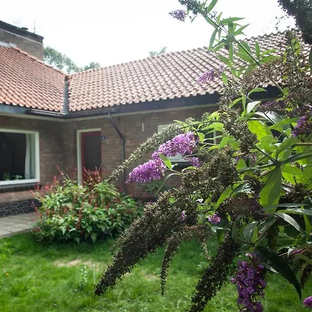 בית נופש Woning Horalaan 8-6 בנאקום